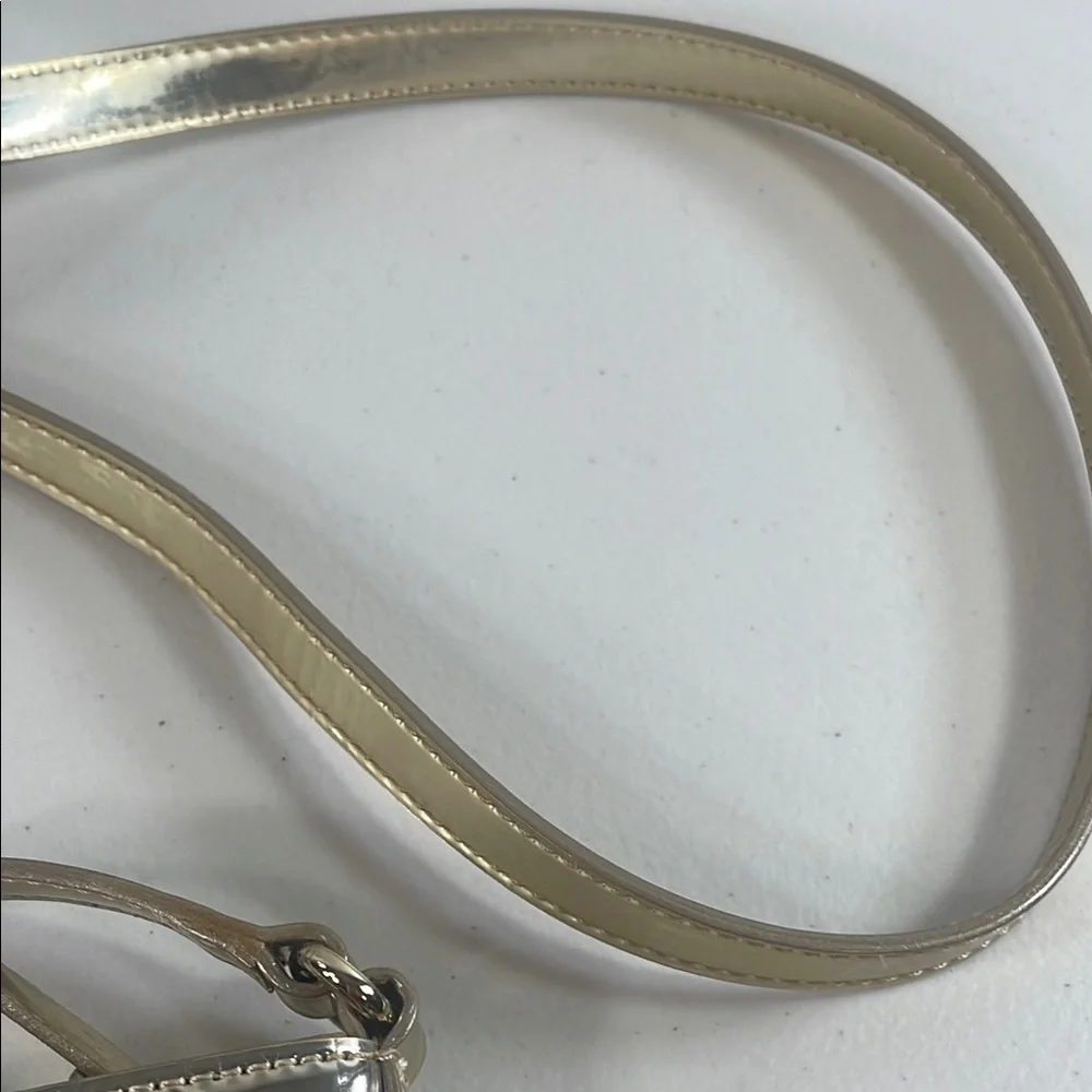 kate spade chic shiny